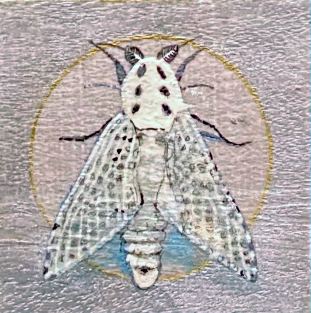 Moth 2, 4 x 4 in, Oil, Pastel, Enamel, Ink on Panel