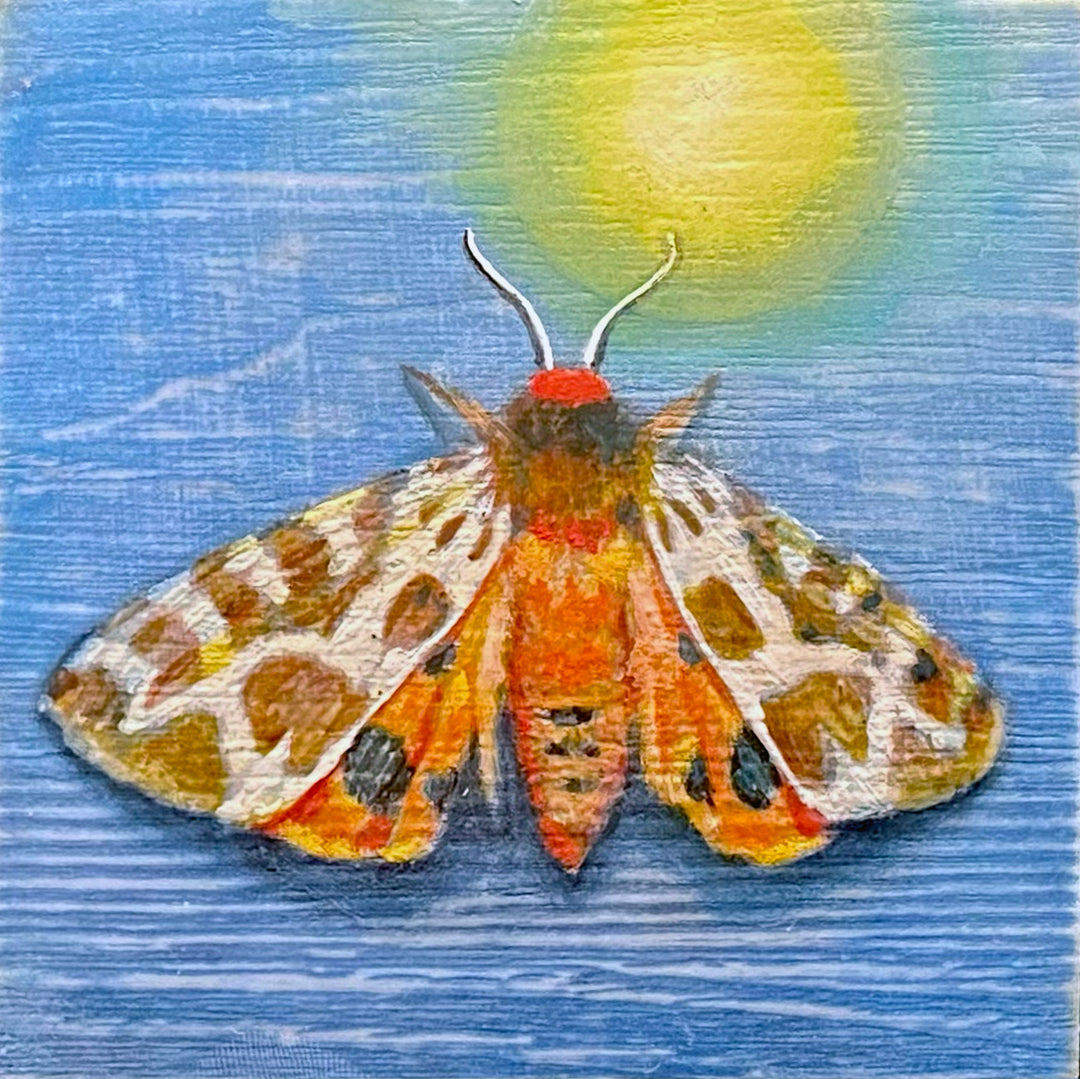Moth 3, 4 x 4 in, Oil, Pastel, Enamel, Ink on Panel
