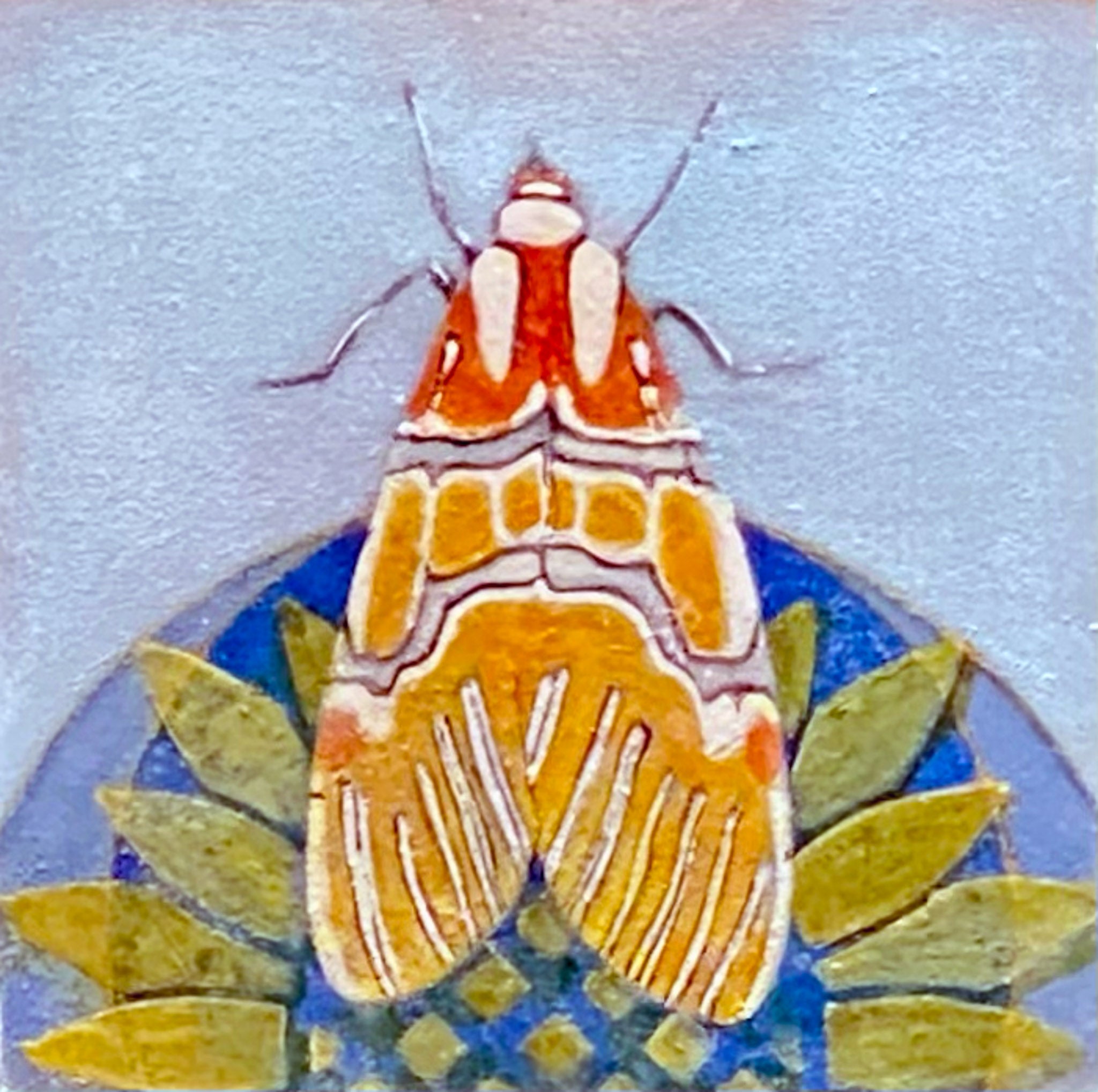 Moth_05._4x4png_3acf0750-c69a-