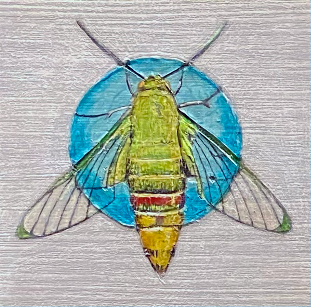 Moth 9, 4 x 4 in, Oil, Pastel, Enamel, Ink on Panel