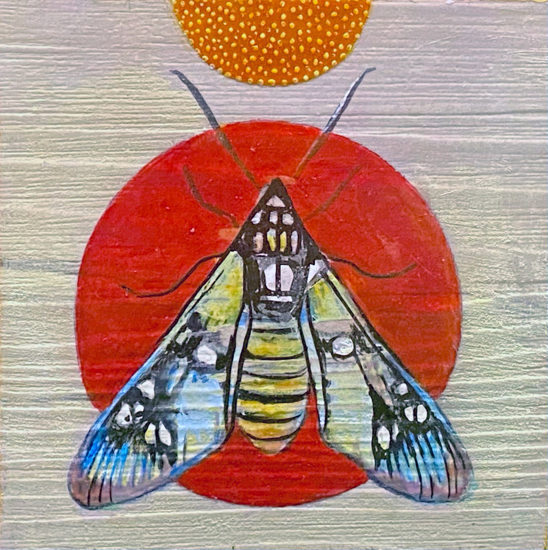 Moth 14, 4 x 4 in, Oil, Pastel, Enamel, Ink on Panel