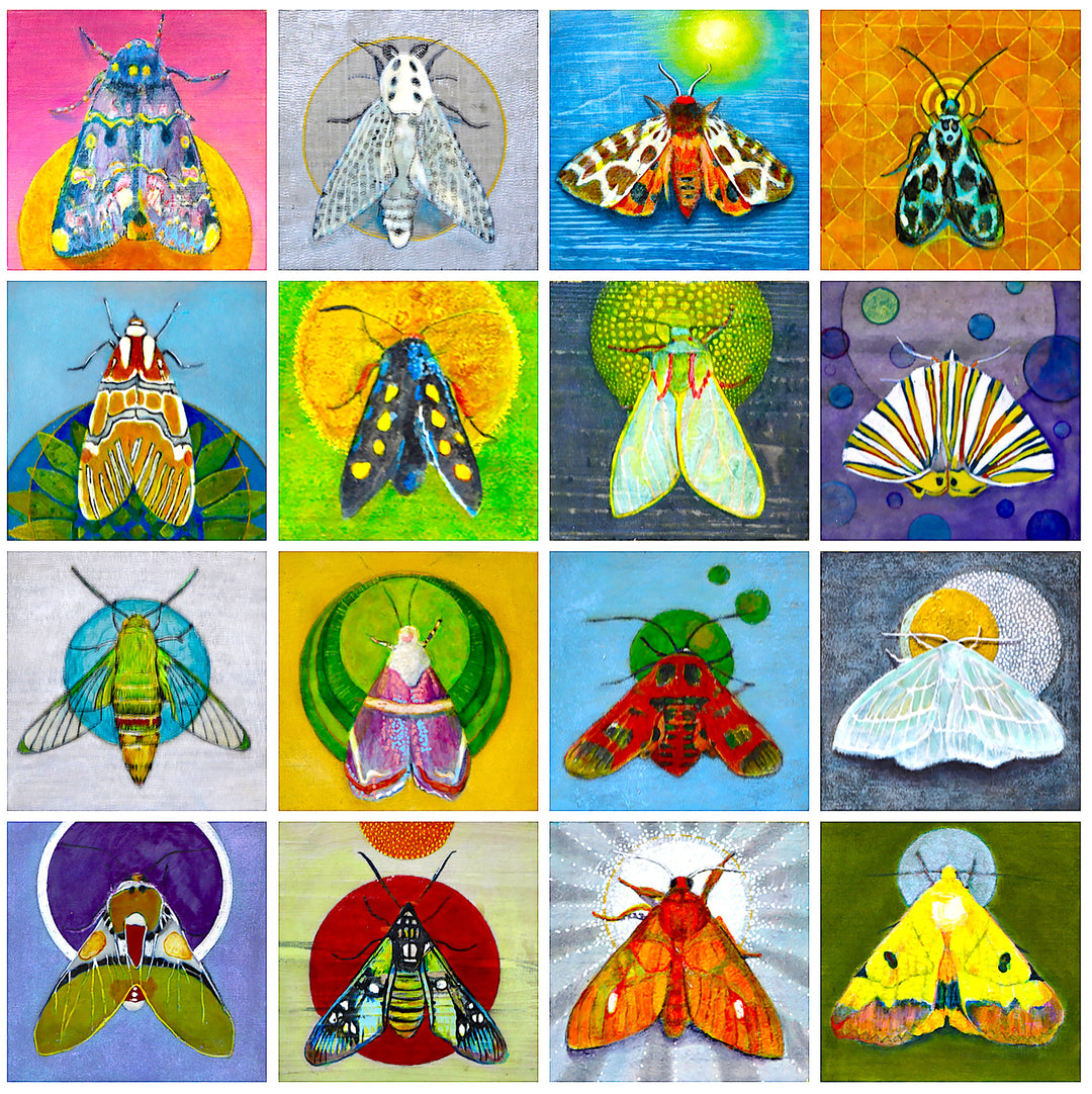 Moth Poster, 12 x 12 in, Print