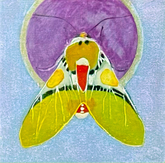 Moth 1, 4 x 4 in, Oil, Pastel, Enamel, Ink on Panel