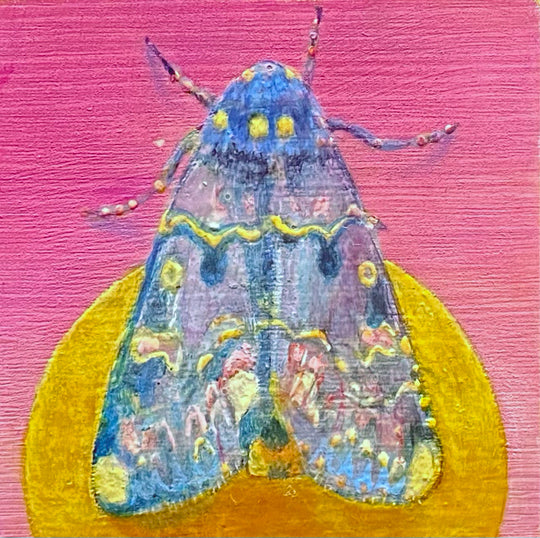 Moth 1, 4 x 4 in, Oil, Pastel, Enamel, Ink on Panel