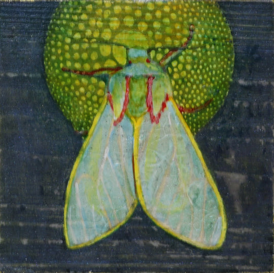 Moth 1, 4 x 4 in, Oil, Pastel, Enamel, Ink on Panel
